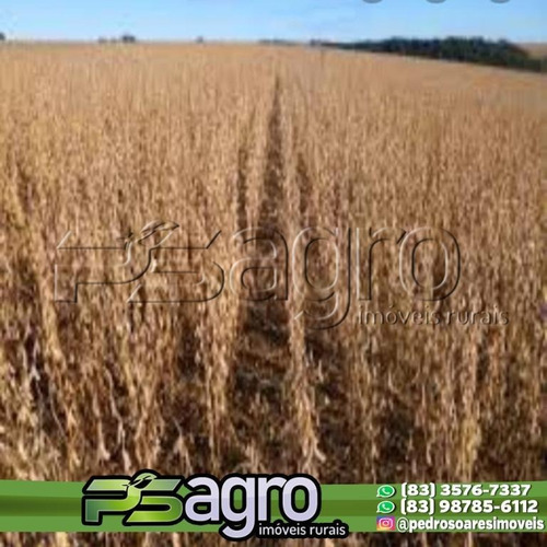 Imagem 7 de 11 de Fazenda À Venda, 30000000 M² Por R$ 45.000.000,00 - Zona Rural - São Felix Do Araguaia/mt - Fa0186