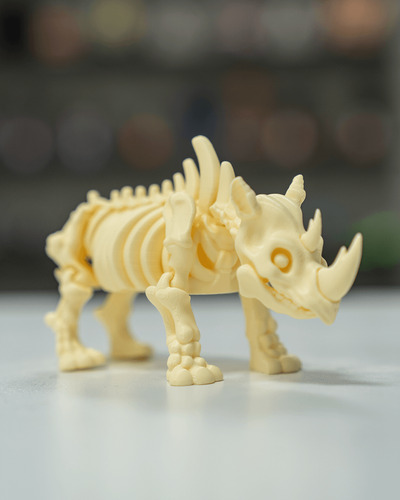 Brinquedo Esqueleto Animal Ósseo Articulado Diversos Animais