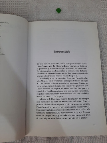 Empresario Modelo Pablo Díez Fernández