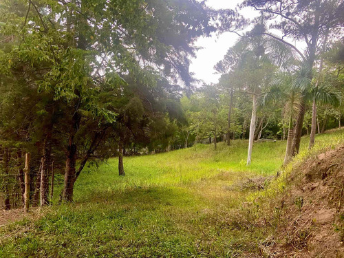 Imagen 1 de 7 de Venta Solar Jarabacoa