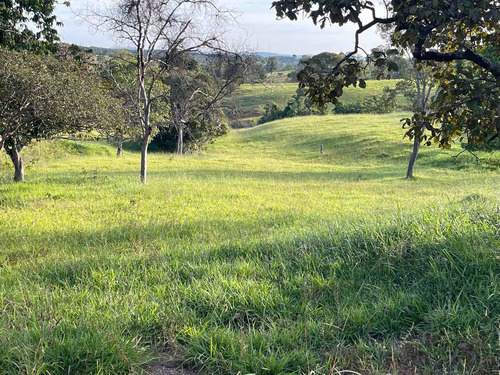 Imagem 10 de 20 de Chácara À Venda! Em Goianésia - Go, 13 Alqueres A 14.5 Km De Goianésia, Com 2 Nascente De Água Dentro.
