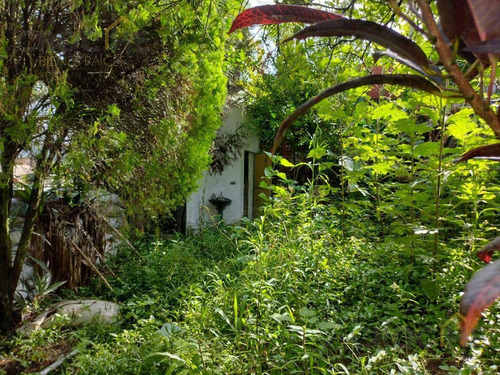 Imagen 7 de 11 de Terreno En Venta En Xalapa Fuente De Las Animas Residencial