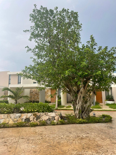 Imagen 11 de 19 de Venta De Casas En Privada Moratta, Dzitya