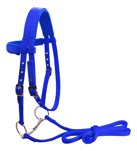 Brida De Nylon Para Montar A Caballo Azul L