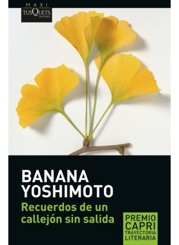 Recuerdos De Una Calle Sin Salida - Banana Yoshimoto