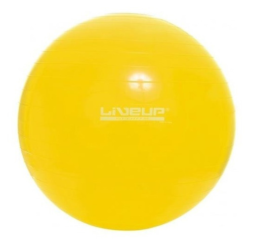 Bola Suíça Gym Ball Ginástica 75cm Yoga Pilates + Bomba Live