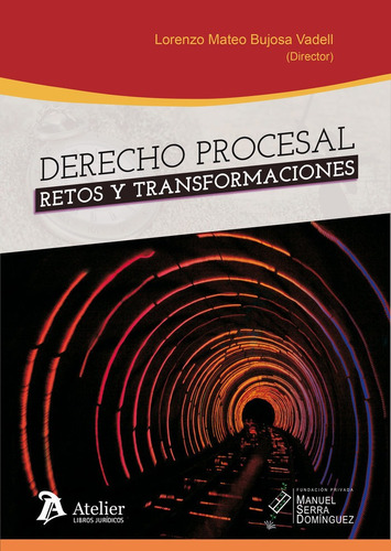 Libro Derecho Procesal: Retos Y Transformaciones - Lorenz...