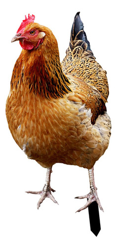 Estatua De Gallina, Estaca De Jardín, 33x15,2x0,1 Cm