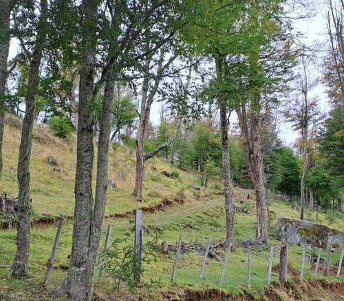 Conectividad En Invierno Y Agüa De Arroyo (85176)