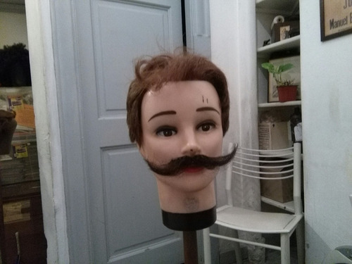 Bigotes Para Teatro