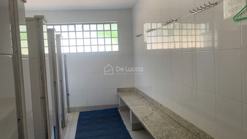 Imagem 15 de 28 de Prédio Á Venda E Para Aluguel Em Jardim Planalto - Pr008478