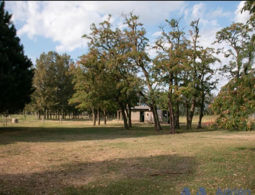 Campo En Venta - 9.9 Has - Los Cardales, Exaltación De La Cruz