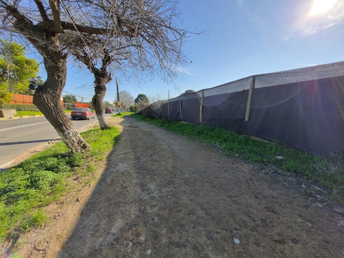 Espectacular Terreno A Pasos Del Centro De Olmue