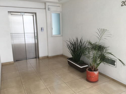 Imagen 2 de 28 de Departamento En Venta Y Renta En Lomas Altas