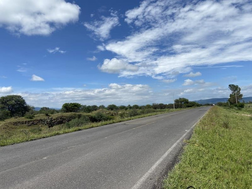 Imagen 3 de 6 de Terreno Comercial En Venta El Sauz