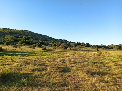 10 Hectáreas A La Venta En Corazón De Villa Serrana Represa