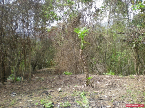 Imagen 9 de 12 de Venta De Terreno En San Jose De Los Altos Edo Miranda Rzxx