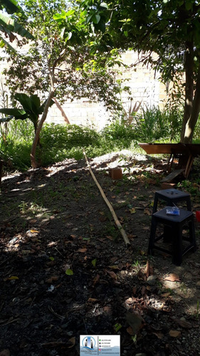 Imagem 6 de 24 de Terreno Em Albuquerque, Belford Roxo/rj De 500m² À Venda Por R$ 50.000,00 - Te1483343-s