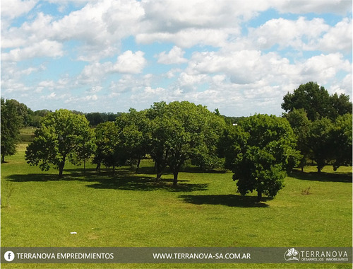 Imagen 9 de 14 de Venta Terrenos Zona Sur En Cuotas En Pesos Tristan Suarez