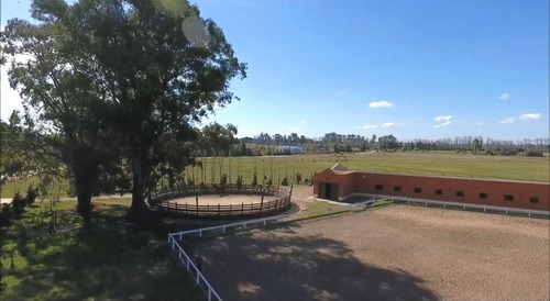 Imagen 2 de 16 de Chacra En Haras El Malacate, Centro Ecuestre, Pensionado, Polo
