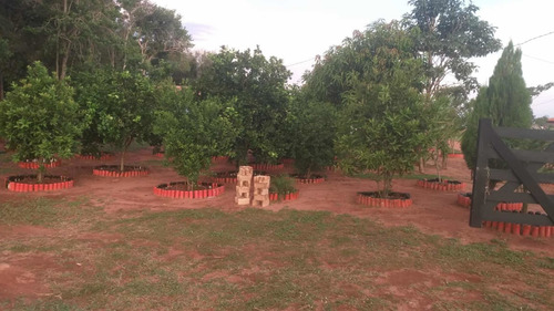 Imagen 5 de 10 de Alquilo Casa Quinta Con Piscina Ciudad De Piribebuy