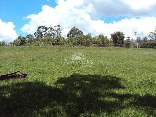 Imagem 11 de 13 de Chácara Com 2 Dorms, Centro, Morungaba - R$ 600 Mil, Cod: Ch099 - Vch099