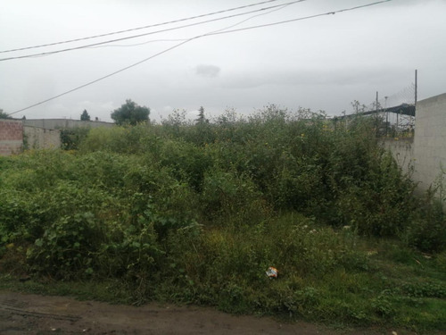 Terreno Habitacional En Venta En Montecillo, Texcoco, México