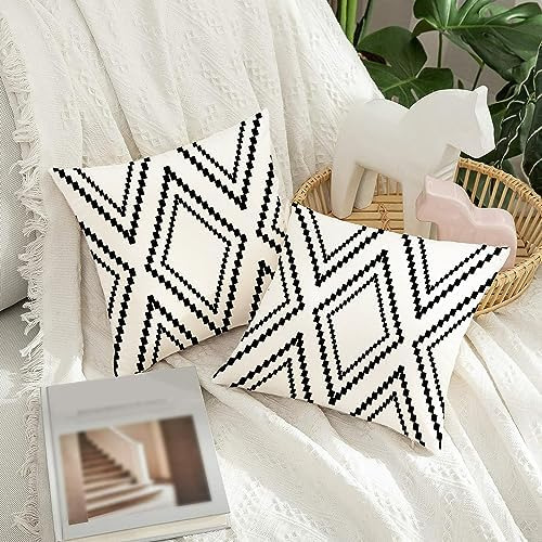 Yaofavo Juego De 2 Fundas De Almohada De 18.0 X 18.0 In, Fun
