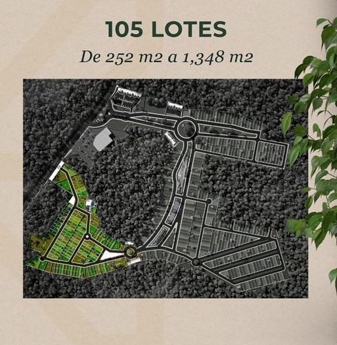 Imagen 6 de 16 de Terrenos En Valladolid, Finca Kanté, Valladolid Yucatán