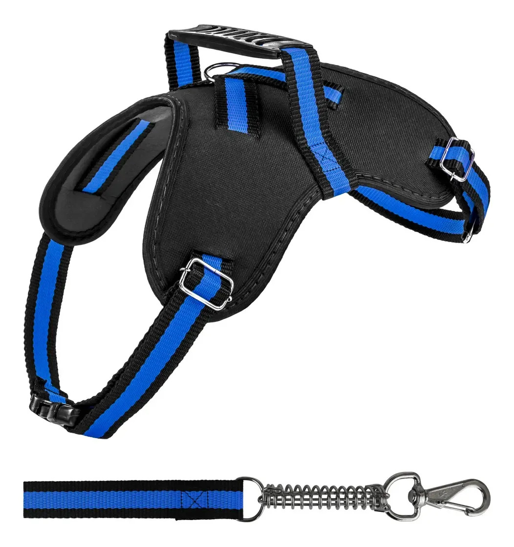 Coleira Para Cachorro, Pitbull, Poodle, Pug, Rottweiler, Schnauzer, Shar-pei, Shiba, Staffordshire Bull Terrier, Weimaraner, Yorkshire, Shih Tzu Patas E Pegadas Preto/azul Tamaño P