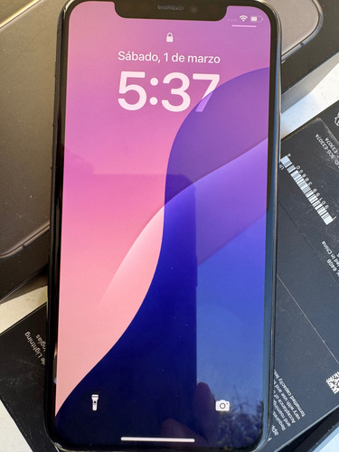 iPhone 11 Pro 64 Gb Gris Espacial Como Nuevo , Siempre En Su Funda Contra Agua (Usado)