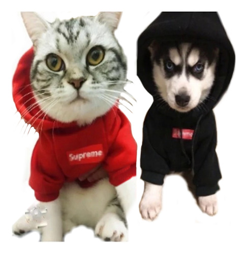 Sudadera Ropa Para Mascota Sup Con Gorro Moderna Gato Perro