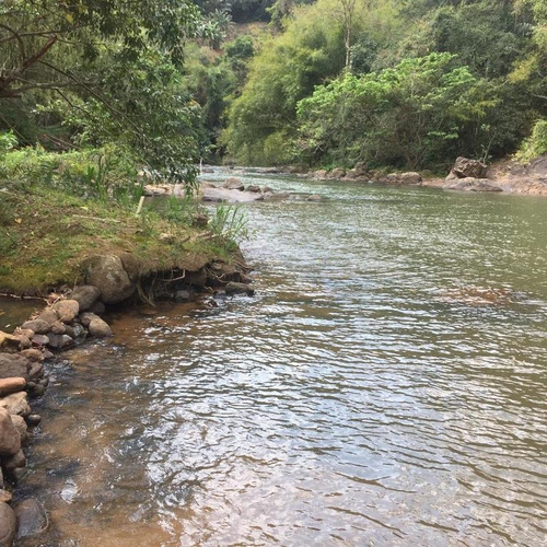 Imagem 11 de 24 de Vendo Sitio Padrão Pousada Em Domingos Martins. - 2001216