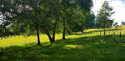 Casa En El Campo Con Casa De Huespedes (85523)