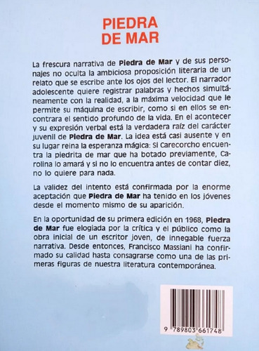 Libro Físico En Piedra De Mar Francisco Massiani