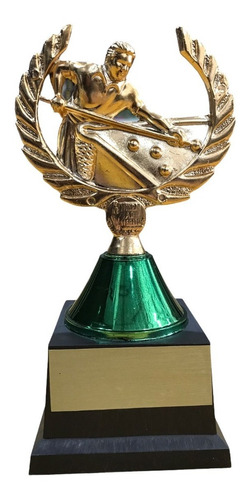 Troféu De Sinuca Para Campeonato Torneio Bilhar