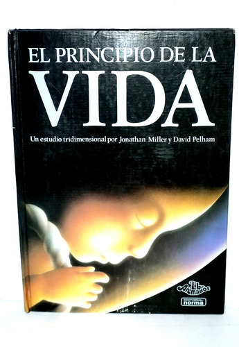 El Principio De La Vida Estudio Tridimensional Embarazo