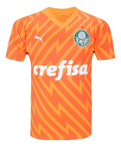 Camisa De Goleiro Puma Palmeiras Iii 2425 Masculina - Torced