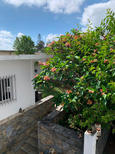 Imagen 7 de 14 de Casa Para Remodelar