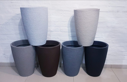 Imagen 7 de 8 de Ficus Lyrata Oferta !!!