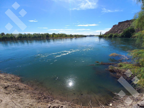 Terreno En  Venta En Isla Jordán, Cipolletti (cueva Del León)