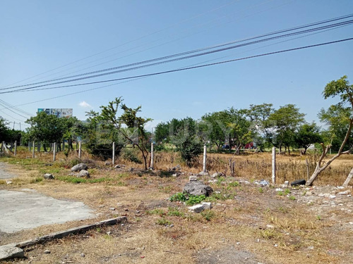 Terreno En Puente De Ixtla Localidad Xoxocotla