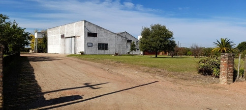 Vendemos! Bodega E Instalaciones