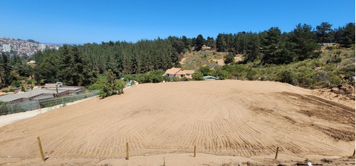 Los Pinos, Entrada Por Reñaca, Con Agua Y Luz