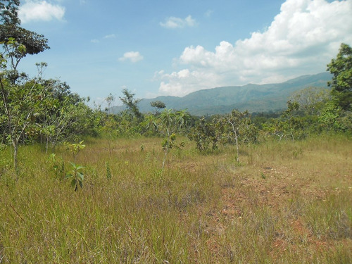 Terreno Mini Finca El Solar Wasi 795566