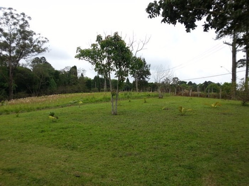 Vendo Chácara São Roque 2 Casas Cercada Luz Água Sabesp+poço