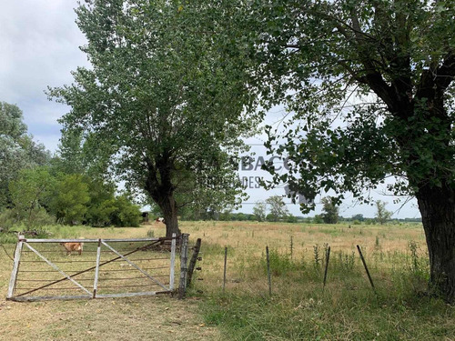 Imagen 14 de 30 de Hermoso Campo De 5 Hectáreas