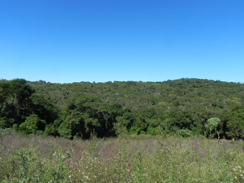 (i.b.) Otimos Terrenos Em Ibiúna - L32i597