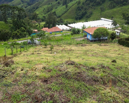 Imagem 2 de 4 de Vendo Chácara Com 2000 M² Em Maria Da Fé, 500 Metros Do Asfalto E Ótima Topografia. - Ch00007 - 69427634