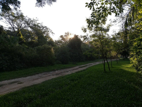 Imagen 9 de 13 de Gran Esquina Con Encanto Natural, Paso De La Patria